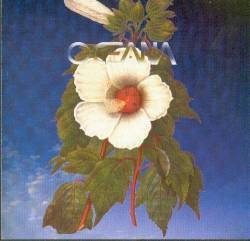 Oceana (ITA) : Oceana